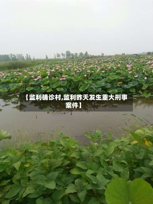 【监利确诊村,监利昨天发生重大刑事案件】-第2张图片