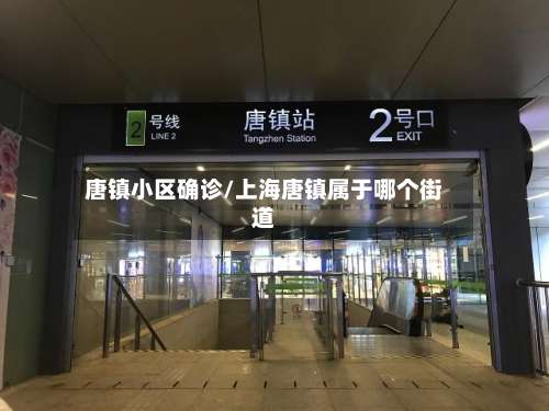 唐镇小区确诊/上海唐镇属于哪个街道