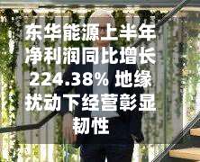 东华能源上半年净利润同比增长224.38% 地缘扰动下经营彰显韧性-第1张图片