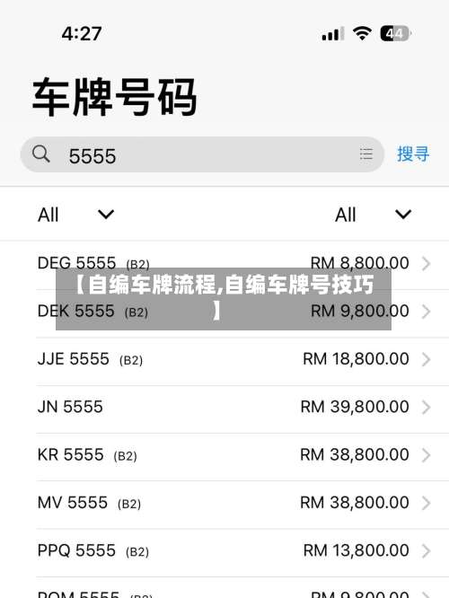 【自编车牌流程,自编车牌号技巧】-第3张图片