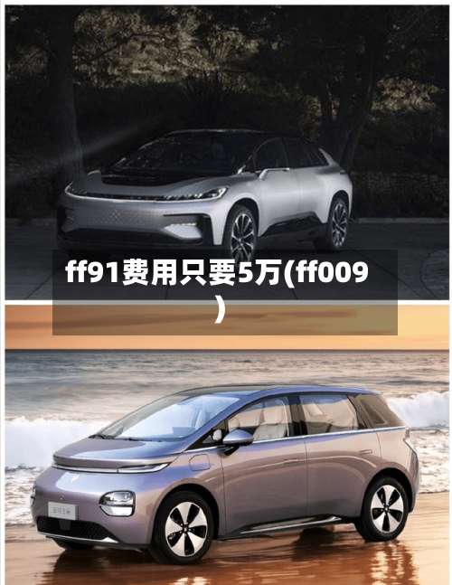ff91费用只要5万(ff009)