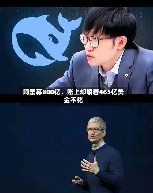 阿里募800亿，账上却躺着465亿美金不花-第2张图片