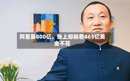 阿里募800亿，账上却躺着465亿美金不花