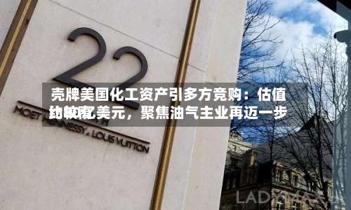 壳牌美国化工资产引多方竞购：估值比较高约80亿美元，聚焦油气主业再迈一步-第3张图片