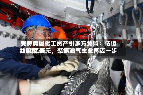 壳牌美国化工资产引多方竞购：估值比较高约80亿美元	，聚焦油气主业再迈一步-第2张图片