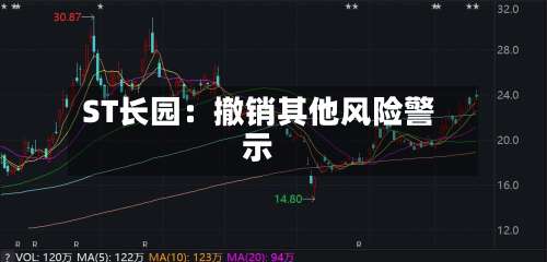 ST长园：撤销其他风险警示-第3张图片