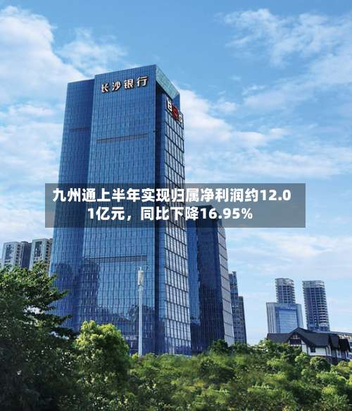 九州通上半年实现归属净利润约12.01亿元，同比下降16.95%-第1张图片
