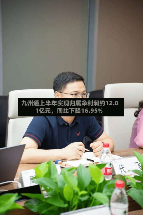 九州通上半年实现归属净利润约12.01亿元	，同比下降16.95%-第2张图片