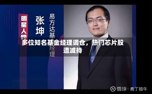 多位知名基金经理调仓	，热门芯片股遭减持-第3张图片