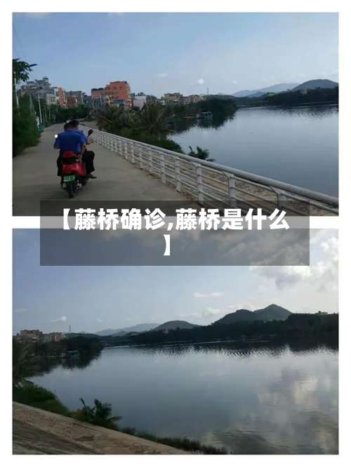 【藤桥确诊,藤桥是什么】-第3张图片
