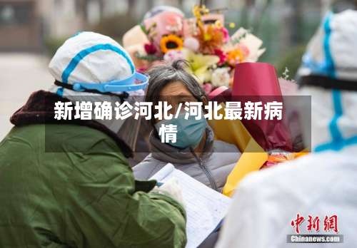 新增确诊河北/河北最新病情