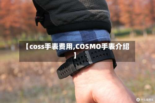 【coss手表费用,COSMO手表介绍】-第3张图片