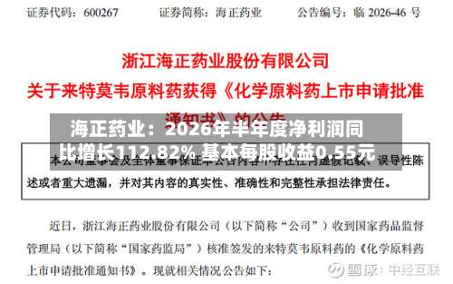 海正药业:2026年半年度净利润同比增长112.82% 基本每股收益0.55元-第2张图片
