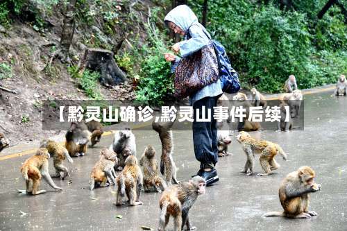 【黔灵山确诊,黔灵山事件后续】-第3张图片