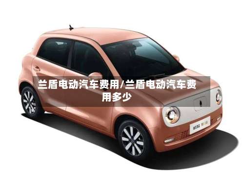 兰盾电动汽车费用/兰盾电动汽车费用多少