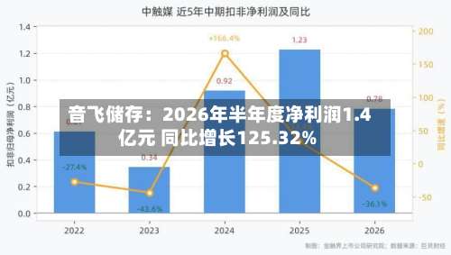 音飞储存:2026年半年度净利润1.4亿元 同比增长125.32%-第1张图片