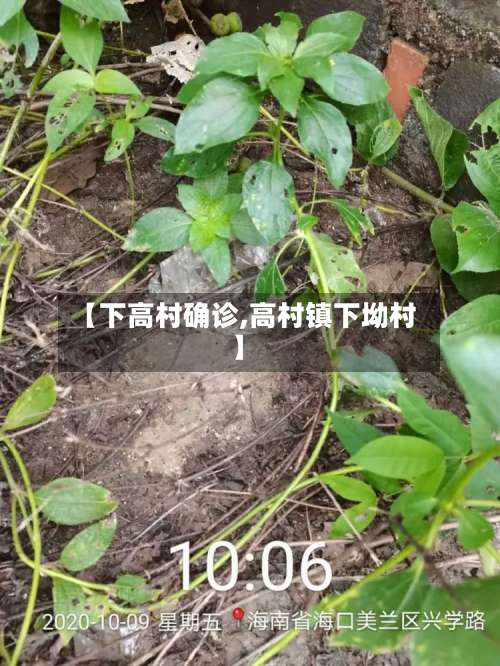 【下高村确诊,高村镇下坳村】-第2张图片