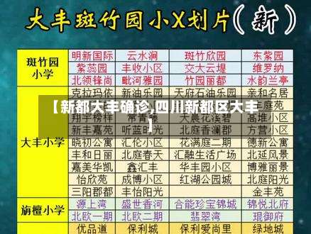 【新都大丰确诊,四川新都区大丰】-第3张图片