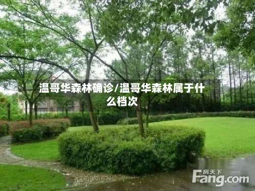 温哥华森林确诊/温哥华森林属于什么档次