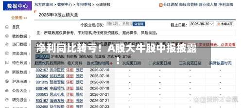 净利同比转亏！A股大牛股中报披露！