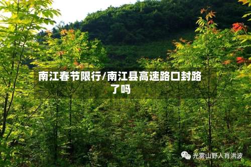 南江春节限行/南江县高速路口封路了吗