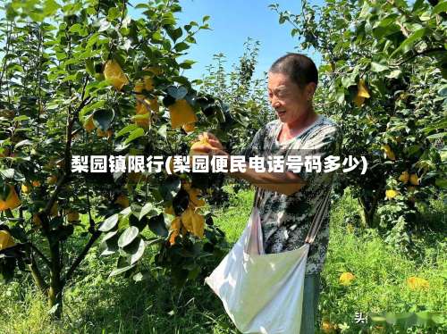 梨园镇限行(梨园便民电话号码多少)-第3张图片