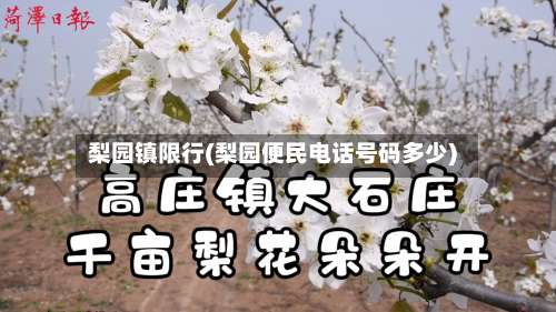 梨园镇限行(梨园便民电话号码多少)