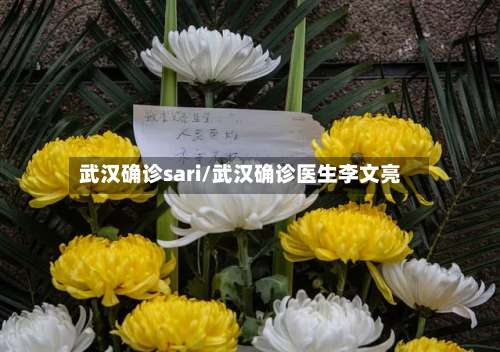 武汉确诊sari/武汉确诊医生李文亮-第2张图片