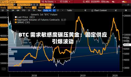 BTC 需求敏感度碾压黄金:固定供应引爆波动-第2张图片