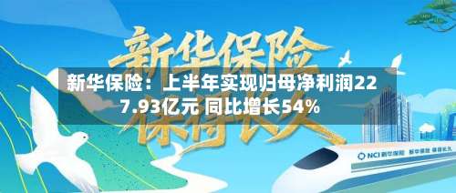 新华保险：上半年实现归母净利润227.93亿元 同比增长54%