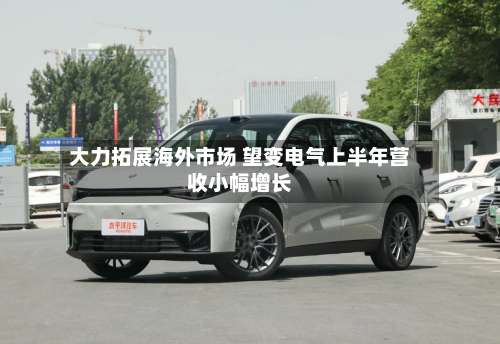 大力拓展海外市场 望变电气上半年营收小幅增长