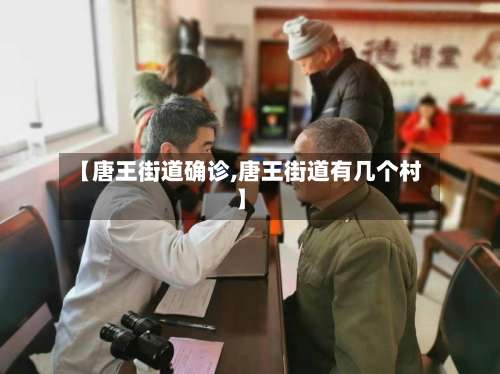 【唐王街道确诊,唐王街道有几个村】