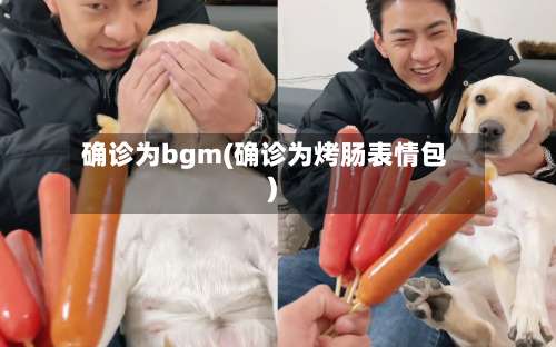 确诊为bgm(确诊为烤肠表情包)-第3张图片
