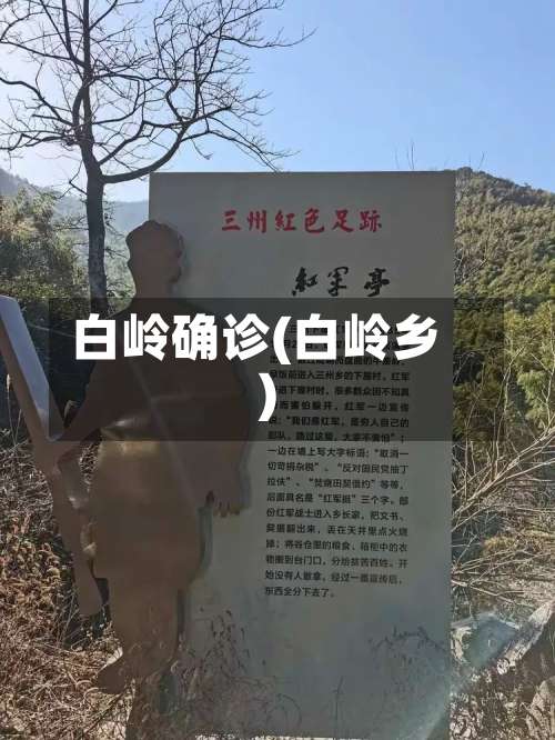 白岭确诊(白岭乡)-第2张图片