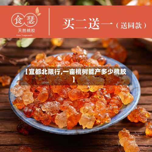 【宜都北限行,一亩桃树能产多少桃胶】