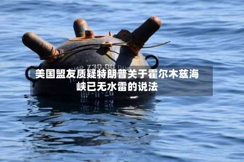 美国盟友质疑特朗普关于霍尔木兹海峡已无水雷的说法-第2张图片