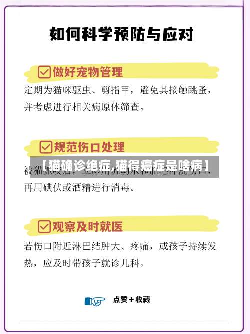 【猫确诊绝症,猫得癌症是啥病】-第2张图片