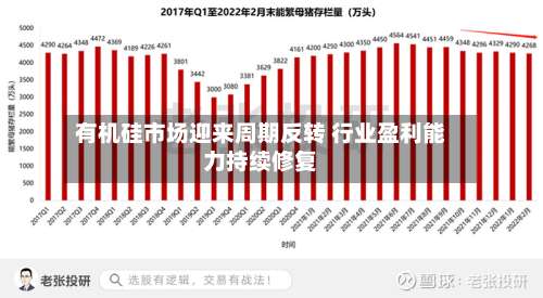 有机硅市场迎来周期反转 行业盈利能力持续修复-第2张图片