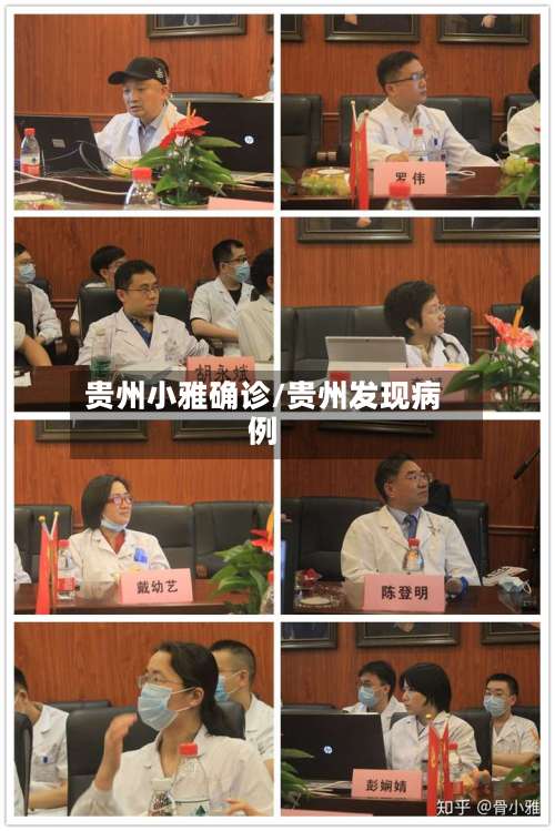 贵州小雅确诊/贵州发现病例