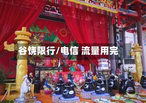 谷饶限行/电信 流量用完-第2张图片