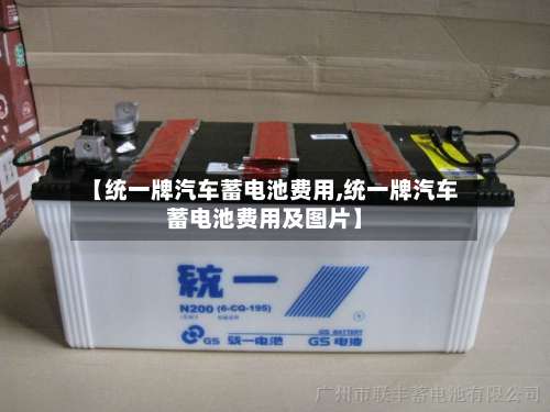 【统一牌汽车蓄电池费用,统一牌汽车蓄电池费用及图片】