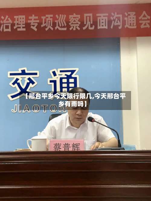 【邢台平乡今天限行限几,今天邢台平乡有雨吗】-第2张图片