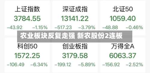 农业板块反复走强 新农股份2连板