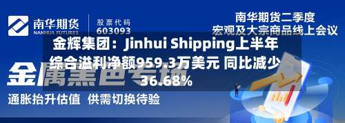 金辉集团:Jinhui Shipping上半年综合溢利净额959.3万美元 同比减少36.68%-第2张图片