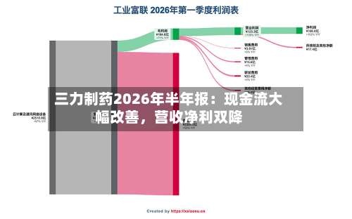 三力制药2026年半年报：现金流大幅改善，营收净利双降-第1张图片