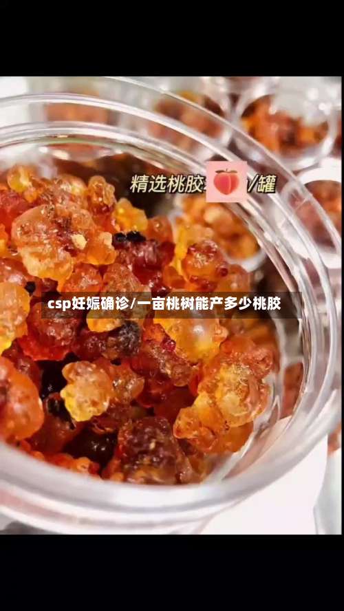 csp妊娠确诊/一亩桃树能产多少桃胶-第2张图片