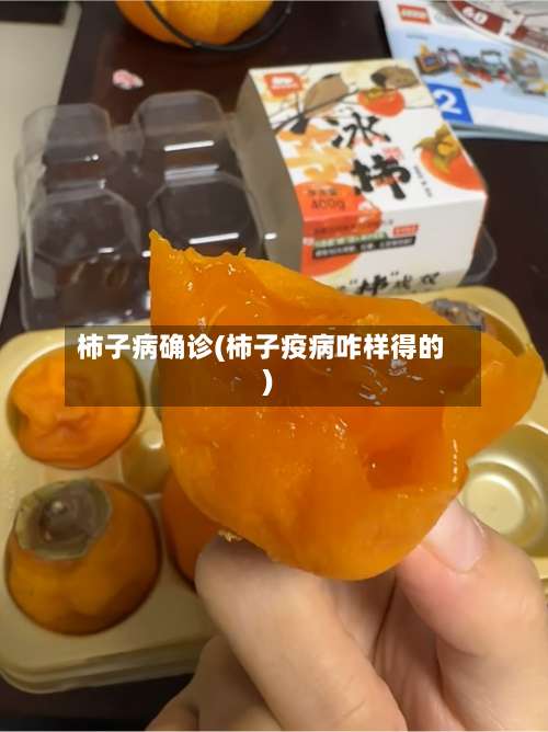 柿子病确诊(柿子疫病咋样得的)-第2张图片