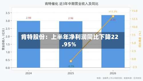 肯特股份:上半年净利润同比下降22.95%-第2张图片