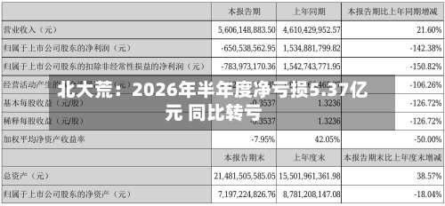 北大荒:2026年半年度净亏损5.37亿元 同比转亏-第2张图片