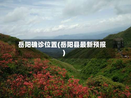 岳阳确诊位置(岳阳县最新预报)-第2张图片